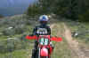 drew.jpg (32185 bytes)