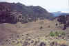 Germainia.jpg (66633 bytes)