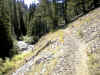 easysidehill.jpg (82079 bytes)