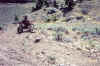 switchback.jpg (91664 bytes)