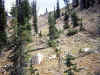 trail1.jpg (138696 bytes)