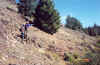 view.jpg (97704 bytes)